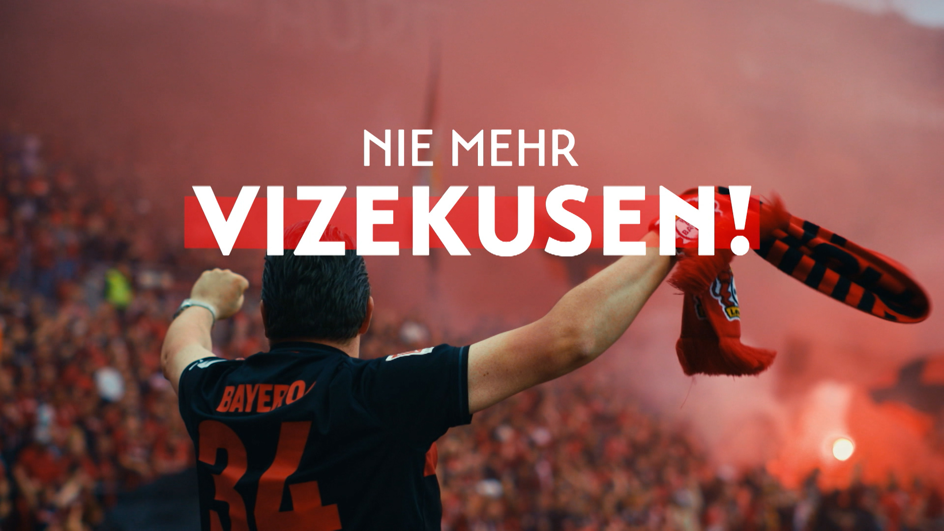 Nie mehr Vizekusen